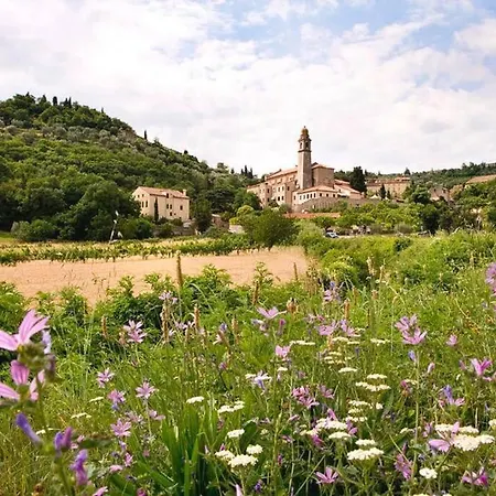 Sweet En Arqua Petrarca