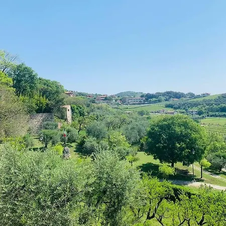 Sweet En Arqua Petrarca
